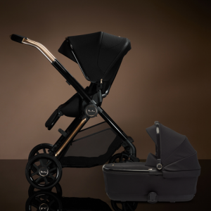 Reef 2 Espresso Modular Stroller and Bassinet